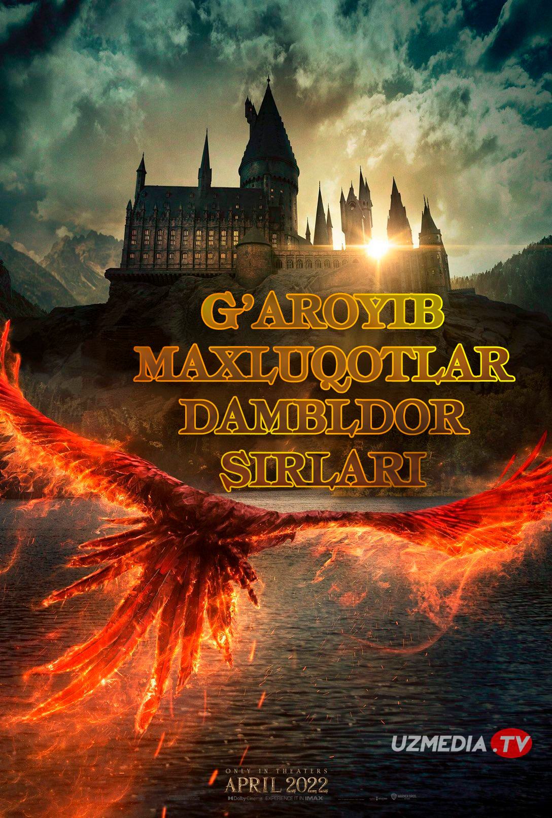 G'aroyib maxluqotlar: Dambldor sirlari Uzbek tilida O'zbekcha tarjima 2022 kino Full HD skachat