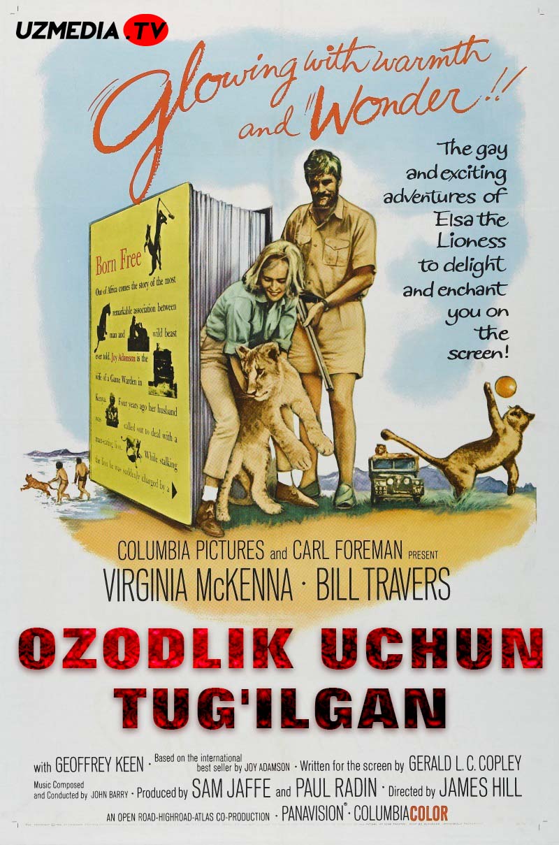 Ozodlik uchun tug'ilgan / Erkin tug'ulgan Britaniya filmi O'zbek tilida tarjima kino Full HD skachat